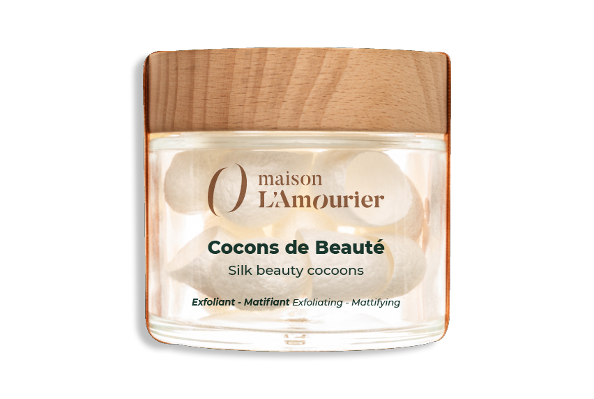 Template-Maison-lamourier4-2.png